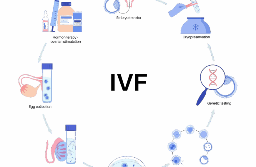 In vitro fertilizáció – azaz a lombik