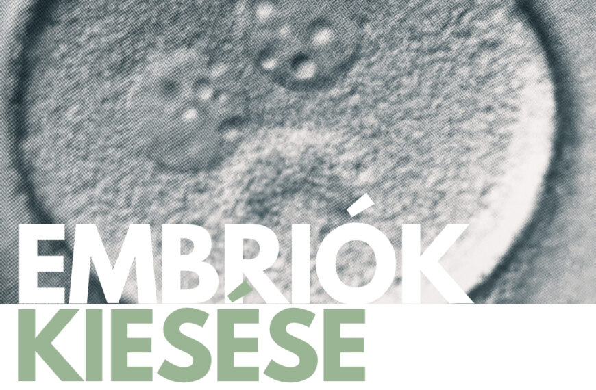 Embriók lemorzsolódása