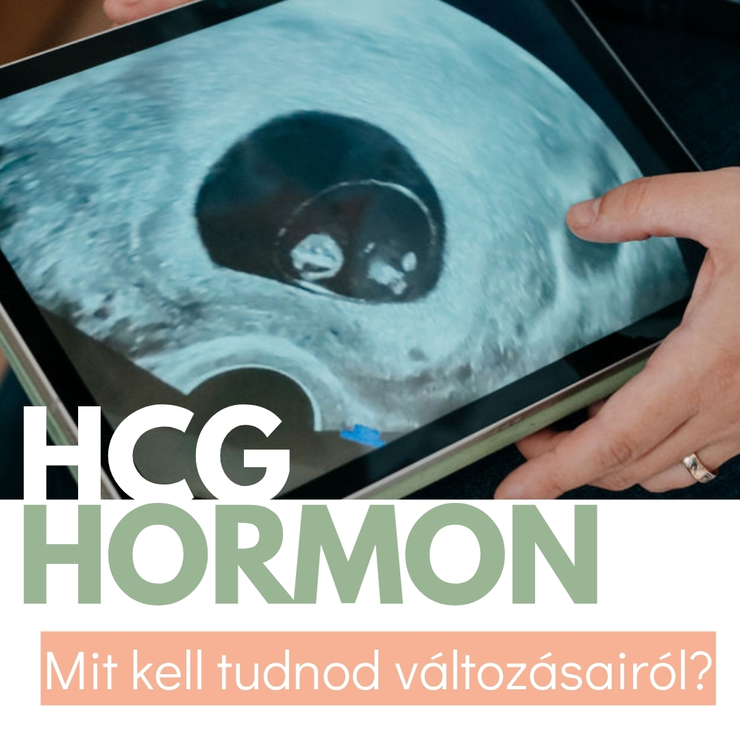 HCG – A terhességi hormon