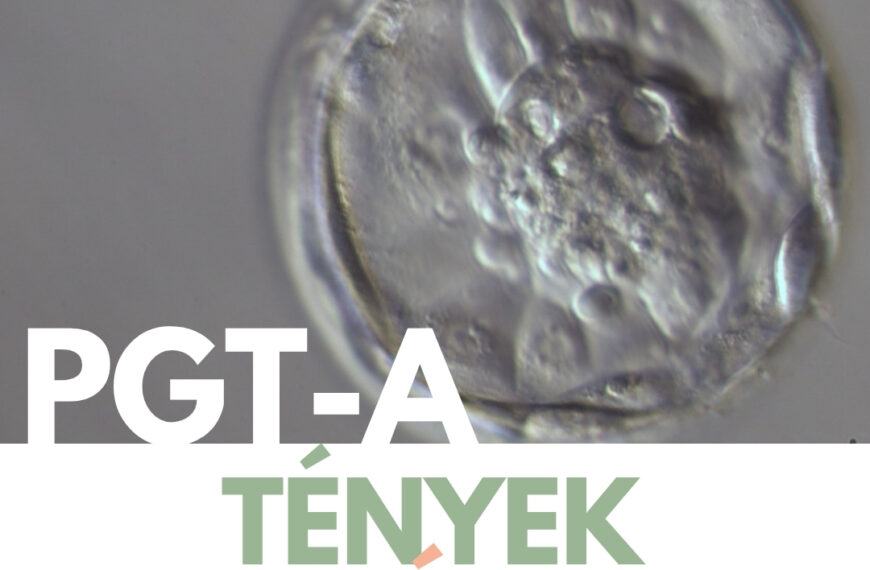 Tények & Tévhitek: PGT-A