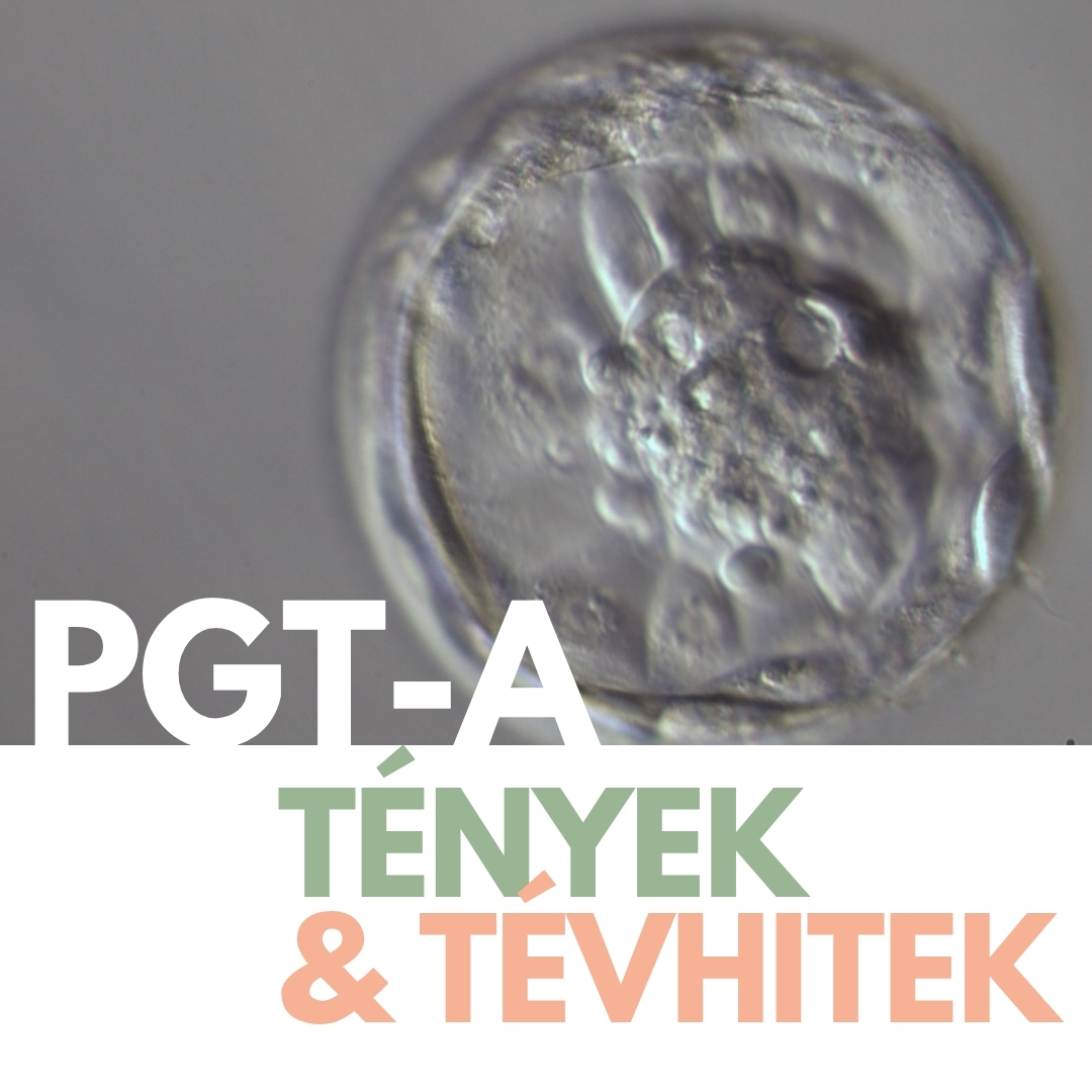 Tények & Tévhitek: PGT-A