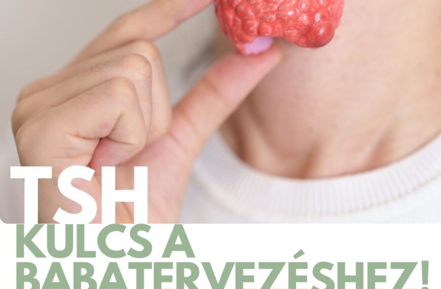 Miért fontos a TSH babatervezéskor? Mi számít optimális értéknek? Hogyan befolyásolja a ciklust, a beágyazódást és a terhességet? Szakmai útmutató.