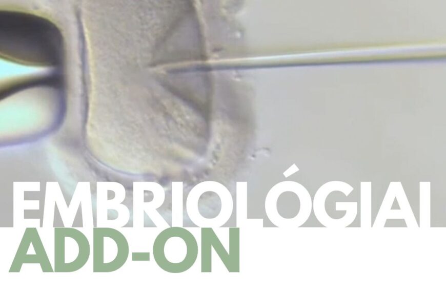 embriológiai ivf kiegészítő kezelések