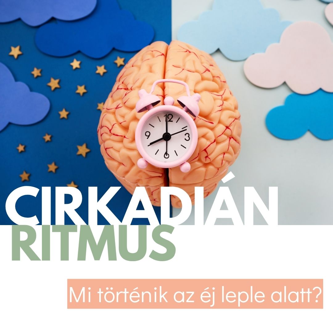 Az alvás, a cirkadián ritmus, a melatonin és a kortizol kapcsolata a termékenységgel