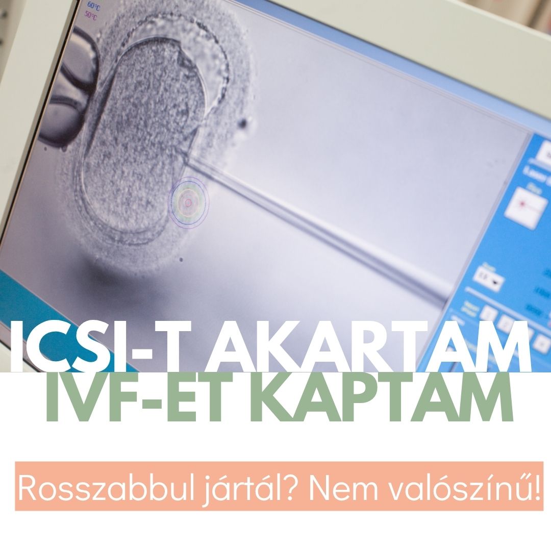 ICSI és konvencionális IVF összehasonlítása meddőségi kezelés során