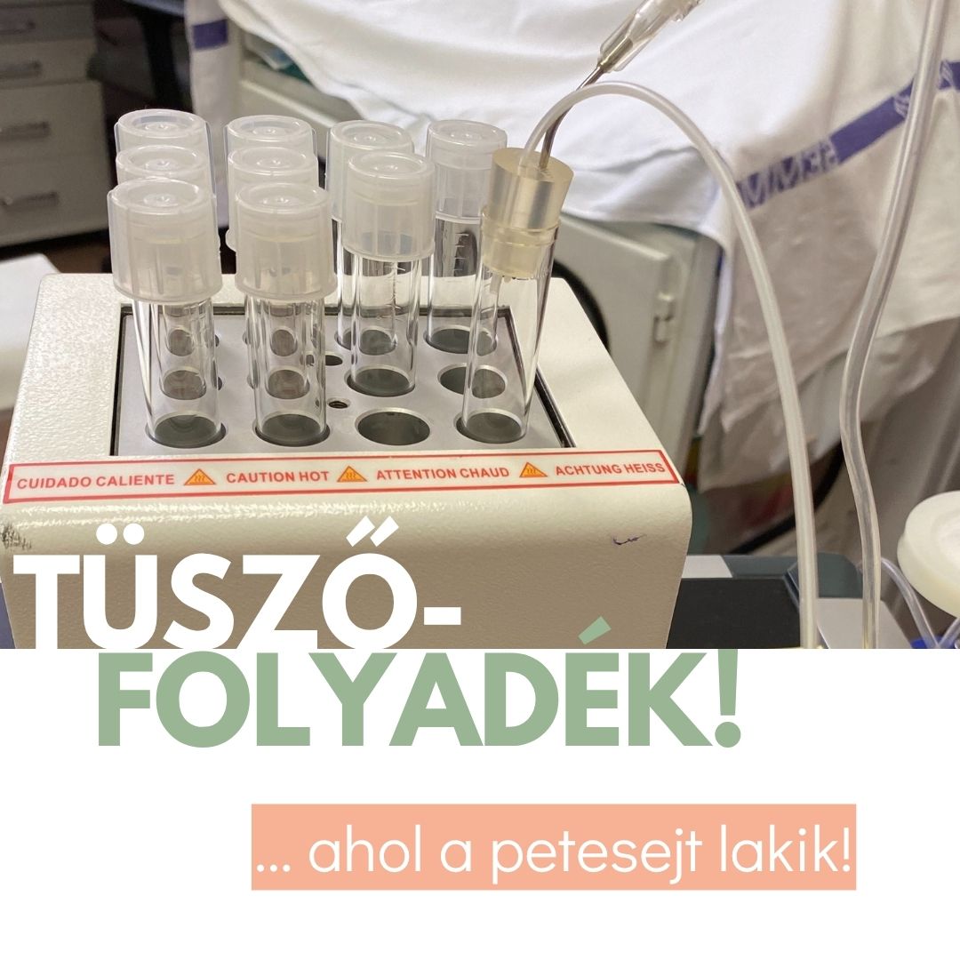 Tüszőfolyadék - mit kell tudnod